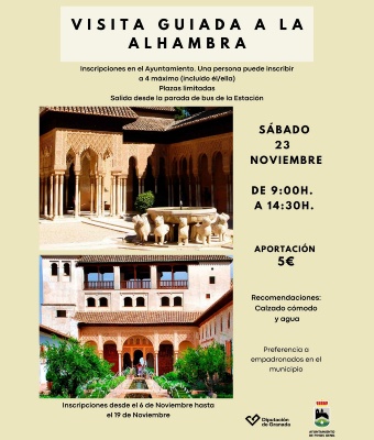 Visita guiada a la Alhambra