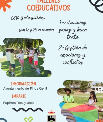 Talleres Coeducativos: I Relaciones Sanas y Buen Trato - II Gestión de Emociones y Conflictos