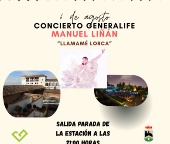 Concierto Generalife - Manuel Liñán