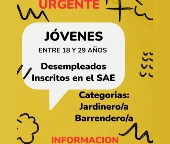 Programa Activa-T Joven