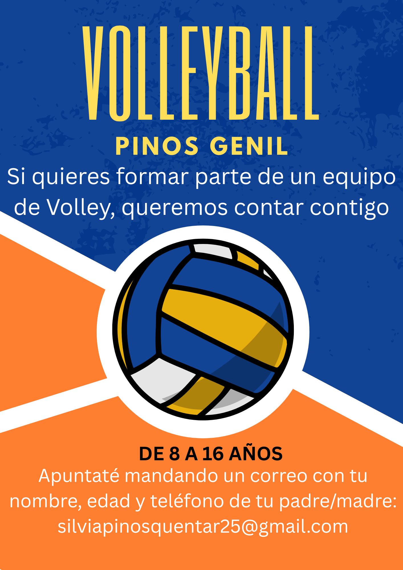 Equipo Voley