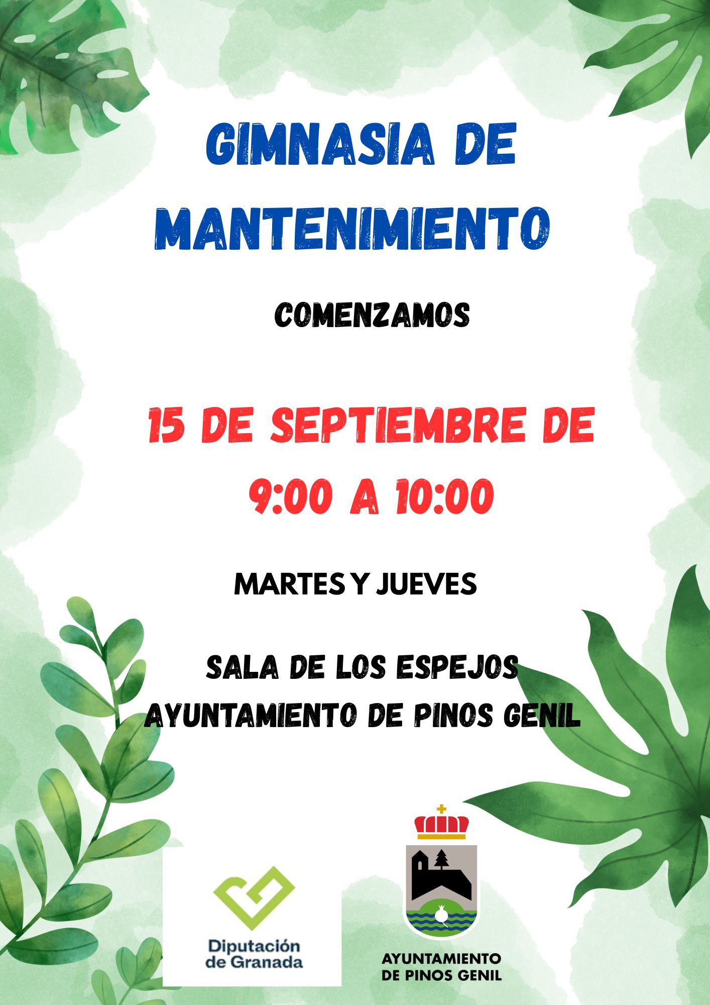 Gimnasia de Mantenimiento