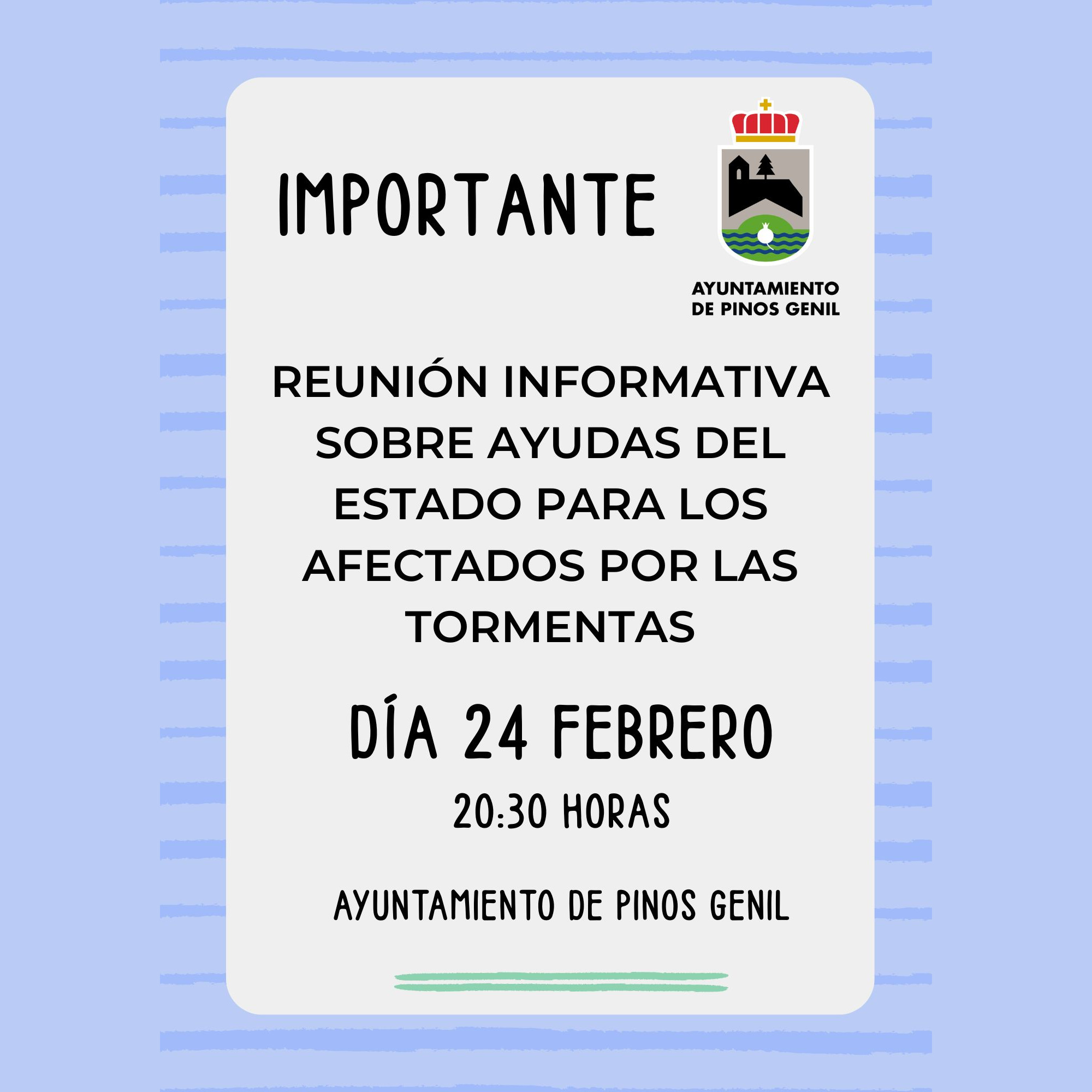 Reunion Informativa AyudasIG