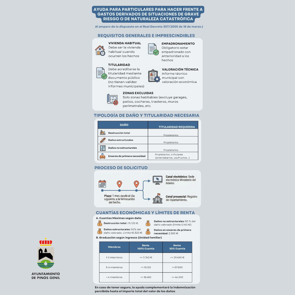 infografía ayudas1IG