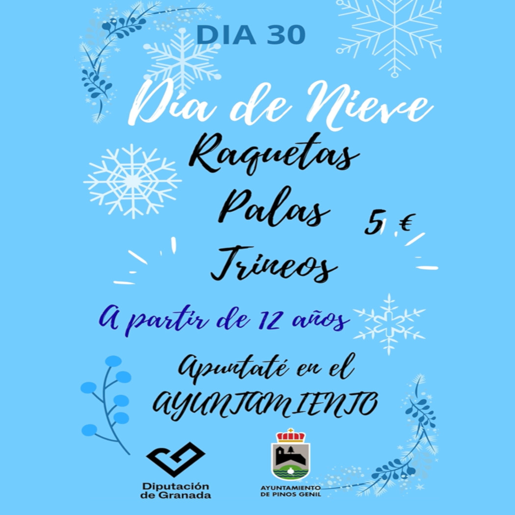 Día de Nieve