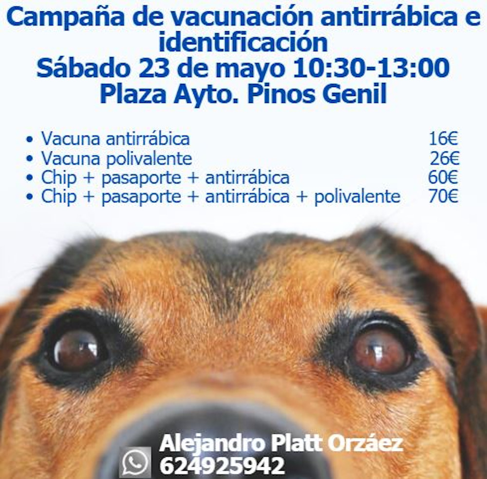 Campaña de vacunación antirrábica e identificación.